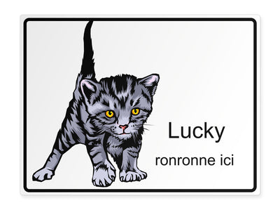 tierschild-quer-hier-schnurrt-lucky